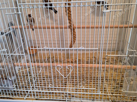 Goldfinches