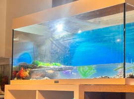 Fish tank