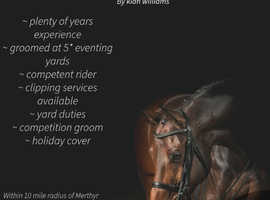 Equine freelance grooming services