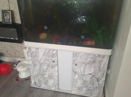 2 axlottil boys