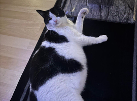 Rehome