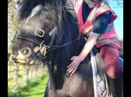 Pony for Loan