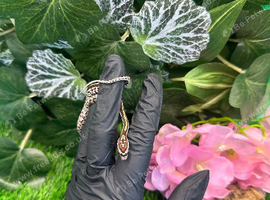Baby Cornsnakes CB26