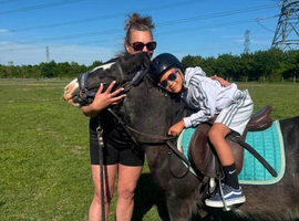 11.1hh cob family pony