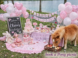 Pony day spend time with pony and chickens south wales