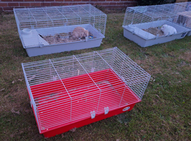 Rabbit cage