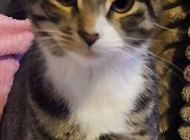 Hello my name is Bobby!