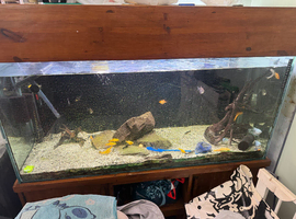 300 ltr Large fish tank