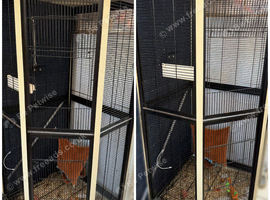Corner cage