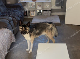Milo