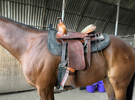 Western saddle