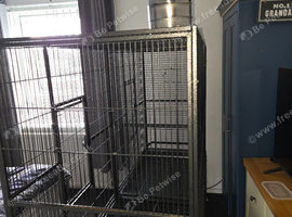 Parrot light cage
