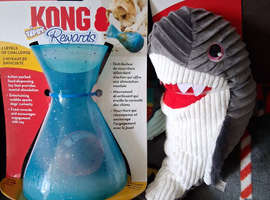 Kong dog toys