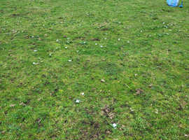Looking for grazing for 2 possibly 3 well behaved geldings