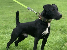 Patterdale