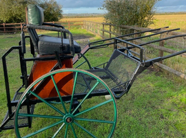 Exercise vehicle
