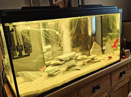 Fish tank full set up for sale