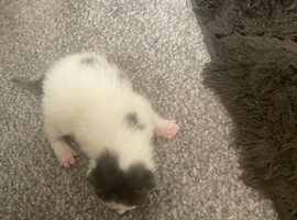 Will be looking for new homes