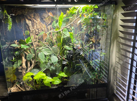 90 x 90 x 45 terrarium