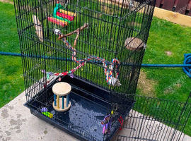 Cage with everything included