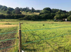 Grass livery available between Farnham and Bordon