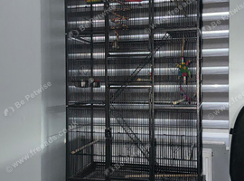 Large parrot cage