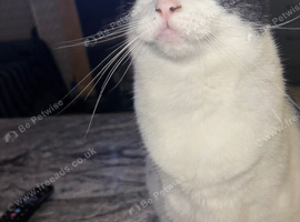 Rehome