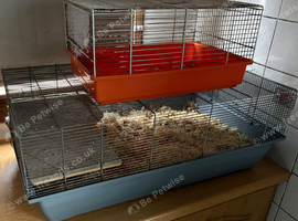 2 hamster cages.