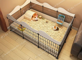 Looking for guinea pigs and indoor-home for sale.
