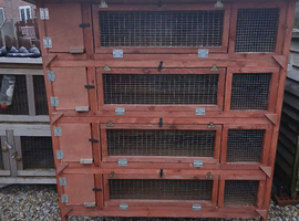 Tall rabbit hutch for sale
