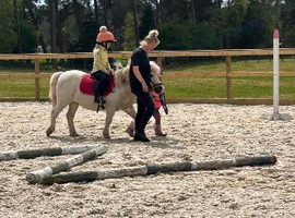 Lead Rein Shetland for Loan