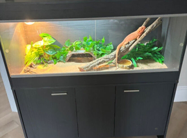 VivExotic Repti Home Maxi Large Dark Grey Vivarium With stand