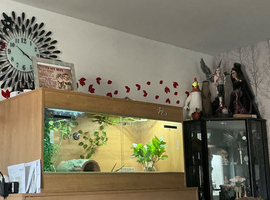 Vivarium