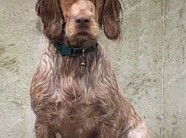 6 months old