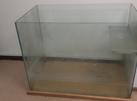 Turtle, Terrapin or Fish Tank