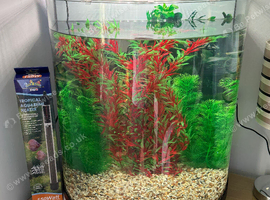 Curved glass aquarium
