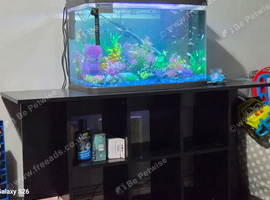 64l tank and stand starter tank  read description