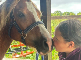Cracker - 8 years old