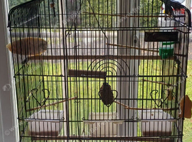 Cage available