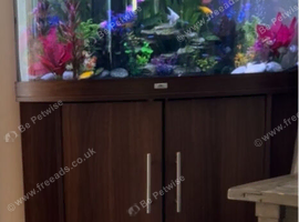 Jewel trigon 190 tank &cabinet