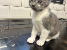 Beautiful little girl ready to leave