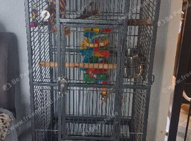 Parrot cage