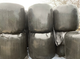 Good Haylage Big 4'6 Round Bales Horse Pony Feed Collect from Scarborough