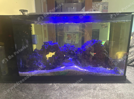 New wave 48L marine tank and contents