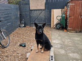 1 year old