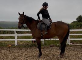 Neyo 16hh confidence giver