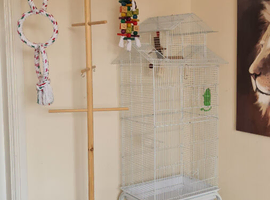 Large budgie cage and tall wooden stand
