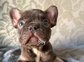 1 boy left