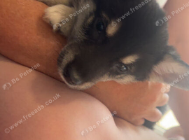 1 loving girl left and ready to go