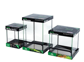 Birthday Week-end Surprise - Full Set Up + Half Price Yakhuna Gecko
